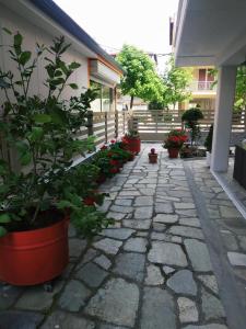 Dimitra's Apartments Olympos Greece
