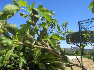 Villas Panoramic View Grimaud : photos des chambres