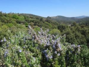 Villas Panoramic View Grimaud : photos des chambres