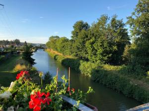 B&B / Chambres d'hotes Metris gaelle : Chambre Double - Vue sur Jardin