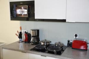 Apartament Srebrny z garażem