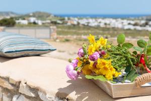 Stone Villa Kontiani - Blue Villa Paros Greece