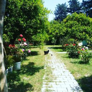 Saklı Bahçe Pension