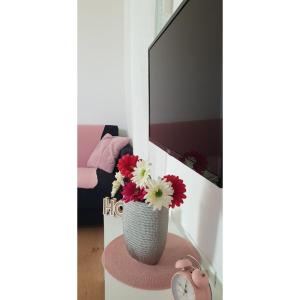 Studio apartman, 2+1