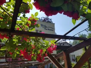 Willa Nad Potokiem - 库多瓦-兹德鲁伊