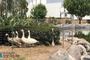 Azul, Juriquilla Santa FE