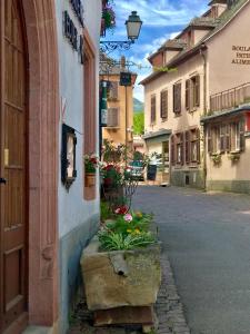 Appartements AUX DEUX CIGOGNES AMMERSCHWIHR : photos des chambres