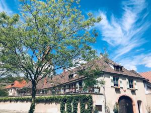 Appartements AUX DEUX CIGOGNES AMMERSCHWIHR : photos des chambres