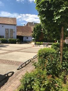 Appartements AUX DEUX CIGOGNES AMMERSCHWIHR : photos des chambres