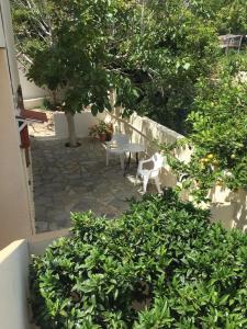 Asimina Lasithi Greece