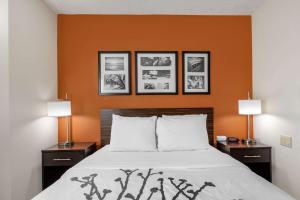 Sleep Inn DeWitt - Lansing North