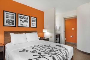 Sleep Inn DeWitt - Lansing North