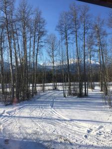 Cougar Mountain Lodge and Resort Cabin Rentals