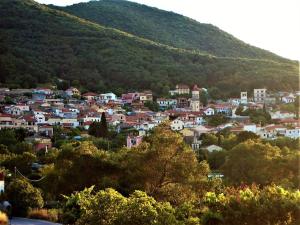 Traditional House Archodiko Corfu Greece