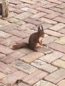 Vakantiewoning Hegga