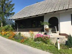 Kali rustic Bohinj house - Polje