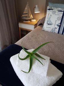Aloe @ the Sea