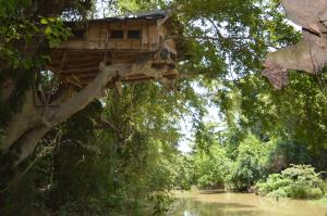 Kumbuk Tree House Yala Safari Place