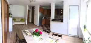 Big Sunny Apartment