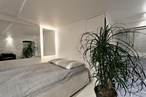 Appartements Stylish,luxury duplex Paris city center : photos des chambres