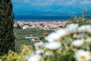 Aloe Villa Lefkada Greece