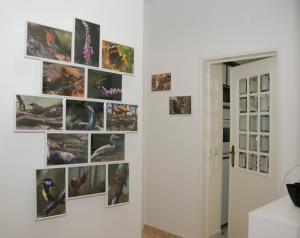 Casa do Relógio