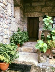 Agro-Turismo - Quinta do Pinheiro