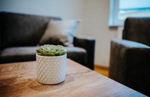 Gästehaus Gerberhof Erfurt