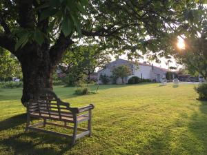 B&B / Chambres d'hotes Du Cote de l'Ombriere : Chambre Double