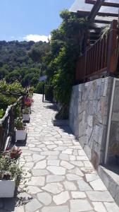 All about view Agios Ioannis Papa Nero Pelion Greece