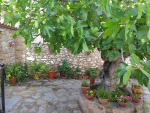 Apartamentos Rurales Tía María