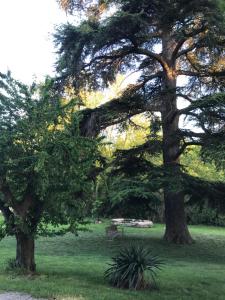 Maisons de vacances Les cedres : photos des chambres