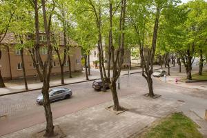 Dviejų kambarių butas Klaipėdos centre