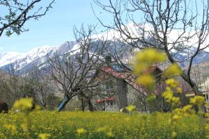 Bon Voyage - A Luxury Homestay