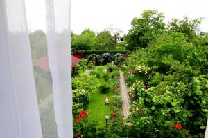 Standard Double Room room in Pension Delia Gardens