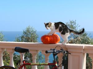 Appartamenti Villa Chiara