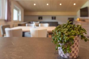 Ferienwohnungen stiLECHt