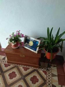 Apartamentos Rurales Tía María