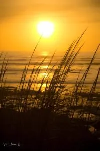 Maupin Stéphane - Saint-Gilles-Croix-de-Vie