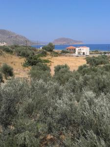 Rougas Apartments Lakonia Greece