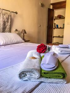 Minerva's House img1