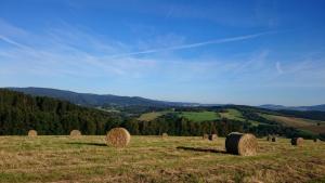 Pension Stanování na farmě Oldřichov v Hájích Tschechien