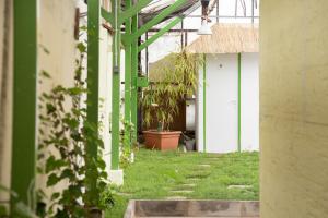 Quadruple Room with Shared Bathroom room in Rastlinky.sk Greenhouse Guestrooms