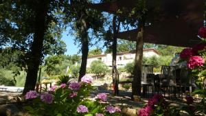 Le Vallon des Oliviers photo 18