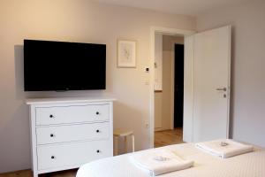 Apartments Alteri Domi