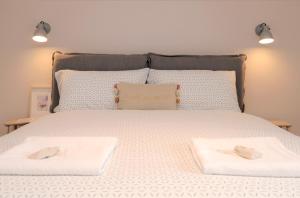 Apartments Alteri Domi