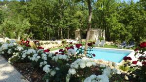 Le Vallon des Oliviers photo 21