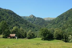 Appartements Gite du Site du Hohneck : photos des chambres