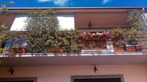 EVERGREEN TERRACE- stile e confort img41