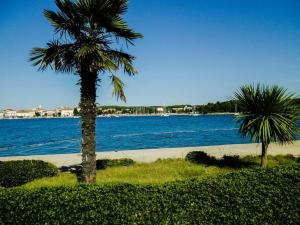 Arbel Apartments